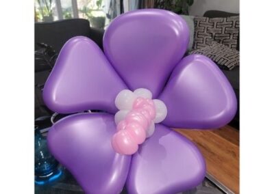 sarahi balloons